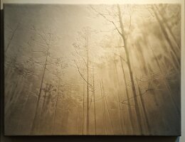 20250601_132911 Kopie